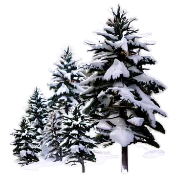 a small christmas tree covered in snow