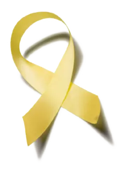 a yellow ribbon on a white background