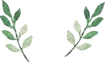 two green leaves on white background