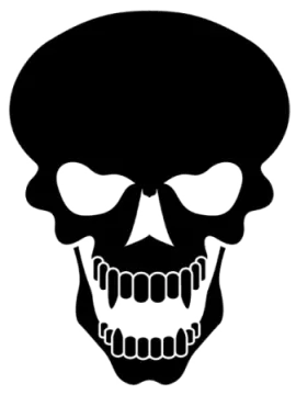 a black and white image of a skull