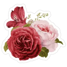 a red and pink rose sticker