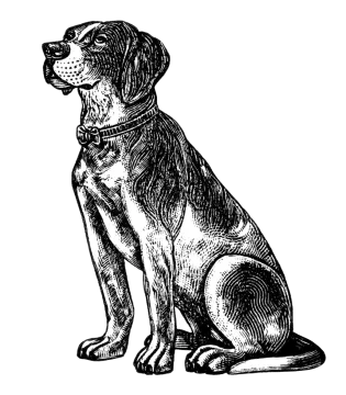 a black and white drawing of a dog
