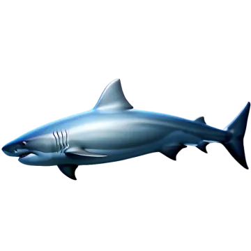 an image of a shark in the ocean