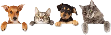 a group of cats and dogs behind a white banner