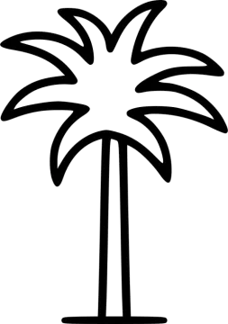 a black and white palm tree