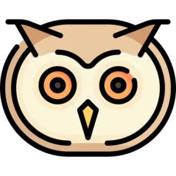 an owl's face with orange eyes