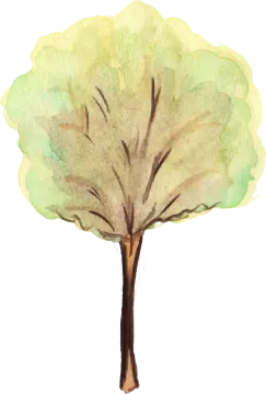 a watercolor drawing of a tree