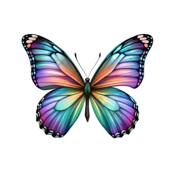 a colorful butterfly on white background