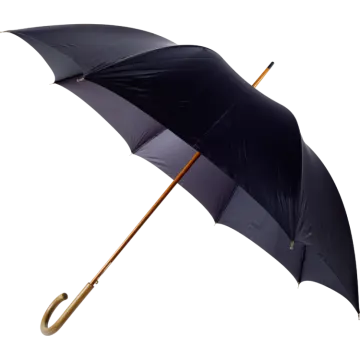 a black umbrella on a white background