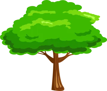 a cartoon tree with green leaves