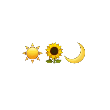 a sun and moon with leaves in the middle