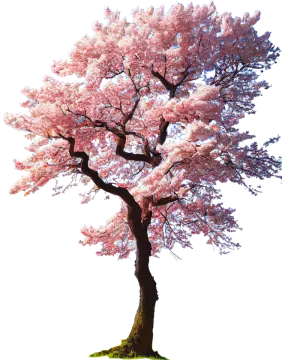 a tree with pink flowers on it