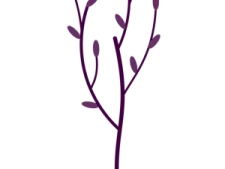 a purple flower on a white background