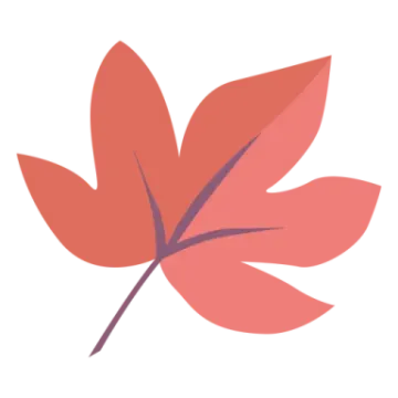 a red leaf on white background