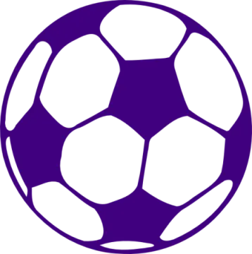 a purple and white soccer ball