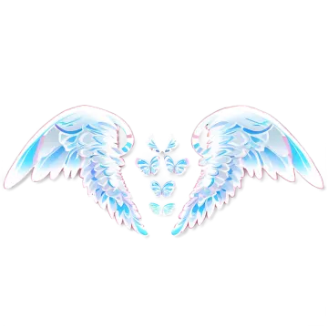 a pair of wings on a white background
