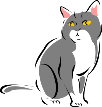 a black and white cat with yellow eyes