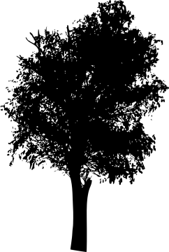 a black and white silhouette of a tree