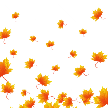 a bunch of autumn leaves on a white background
