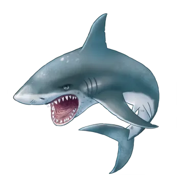 a drawing of a shark with its mouth open