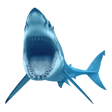 a great white shark with its mouth open