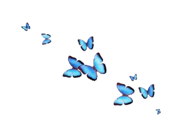 a group of blue butterflies flying in the air