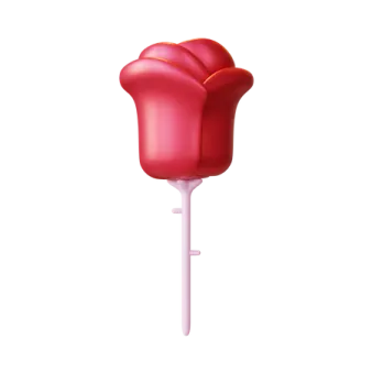 a red rose flower on a white background
