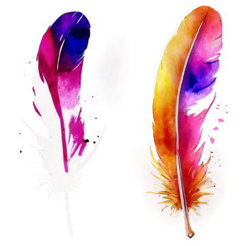 two colorful feathers on a white background