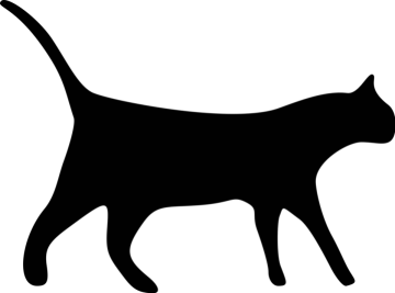 a black cat silhouetted on a white background