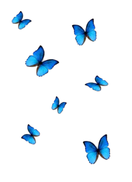 a group of blue butterflies flying in the air