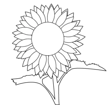free printable sunflower coloring pages