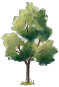 a watercolor painting of a tree