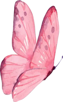 a watercolor painting of a pink butterfly