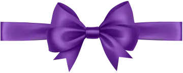 a purple bow on a white background