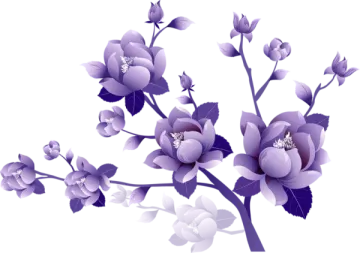 a purple flower on a white background