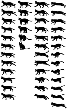 a set of cats silhouettes