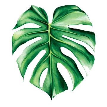 a watercolor painting of a monster leaf