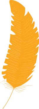a yellow leaf on a white background