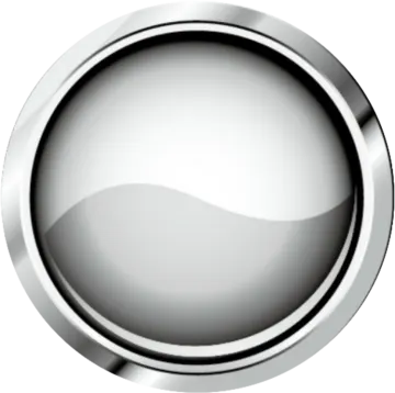 a silver button with a white background