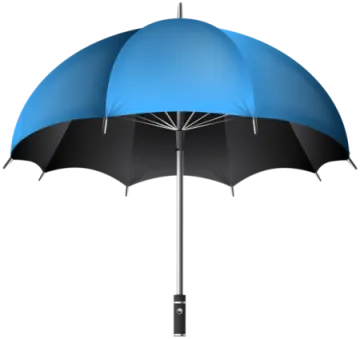 a blue and black umbrella