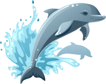 a dolphin jumping out of the water