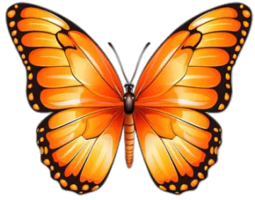 an orange butterfly on a white background