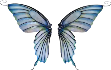 a blue and green butterfly wings