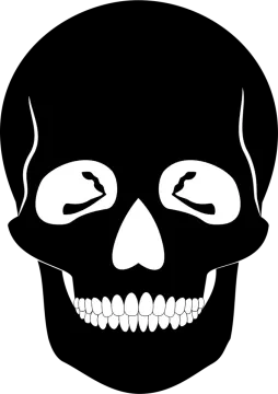 a black and white image of a skull