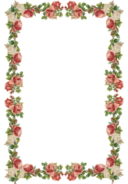 a floral frame with roses and leaves