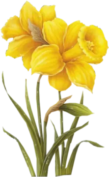 a yellow flower with green leaves