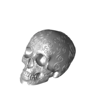 a silver skull on a white background