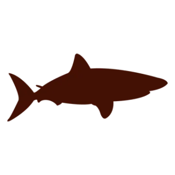 a black and white silhouette of a shark