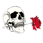 a skull with a rose in its mouth