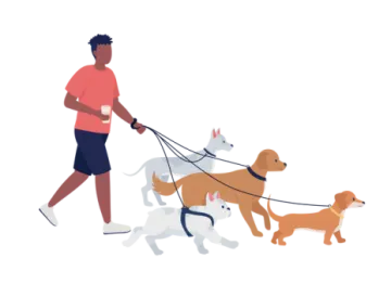 a man walking two dogs on a leash